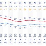 Lees meer over het artikel Trainingen tijdens komende tropische dagen